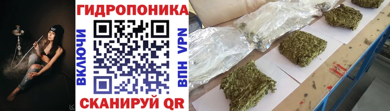 Где купить наркотики Ижевск АМФ  МЕГА ONION  NBOMe  А ПВП  Канабис 