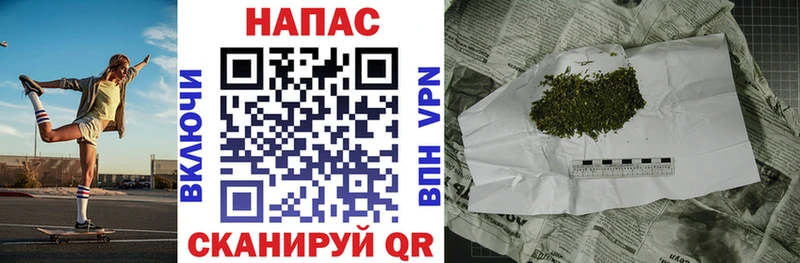 Шишки марихуана сатива KRAKEN Ижевск